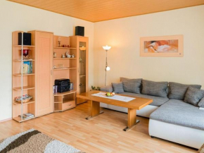 Apartment near the ski area in Medebach